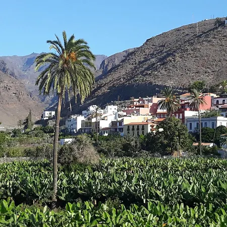 Olivos Playa de Santiago (Isla de la Gomera)