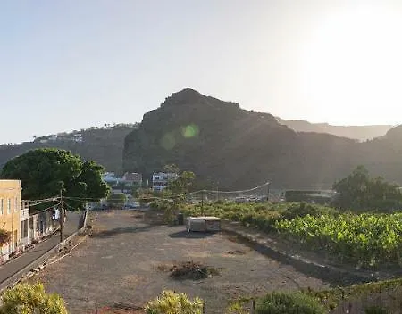Olivos * Playa de Santiago (Isla de la Gomera)