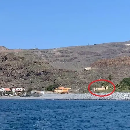 Olivos Playa de Santiago (Isla de la Gomera)